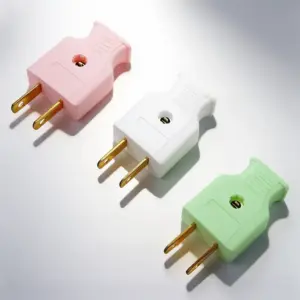 2-Pin Plug (Local)