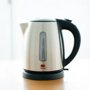 Electric Kettle (1L, Basic)