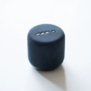Bluetooth Speaker (Mini)
