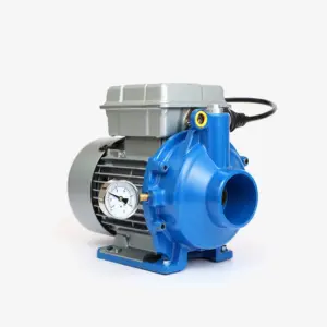 Water Pump (0.5 HP)